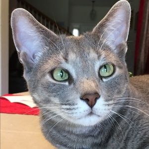 Meet your Posher, Jacqueline